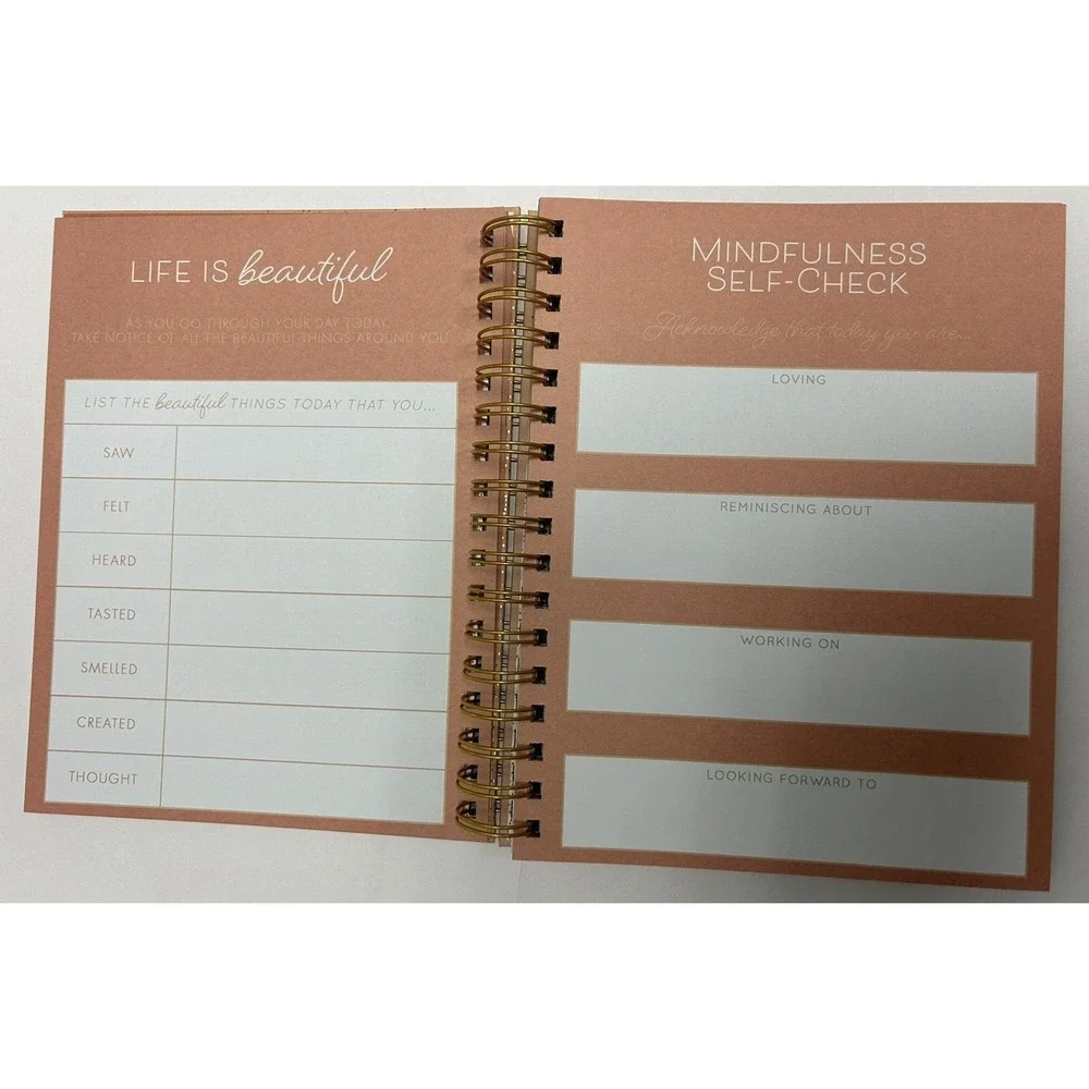 Guided Journal Spiral Lady Jayne Daily Gratitude Mindfulness Prompts 210 pgs 9x7